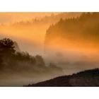 Morgennebel im Tal