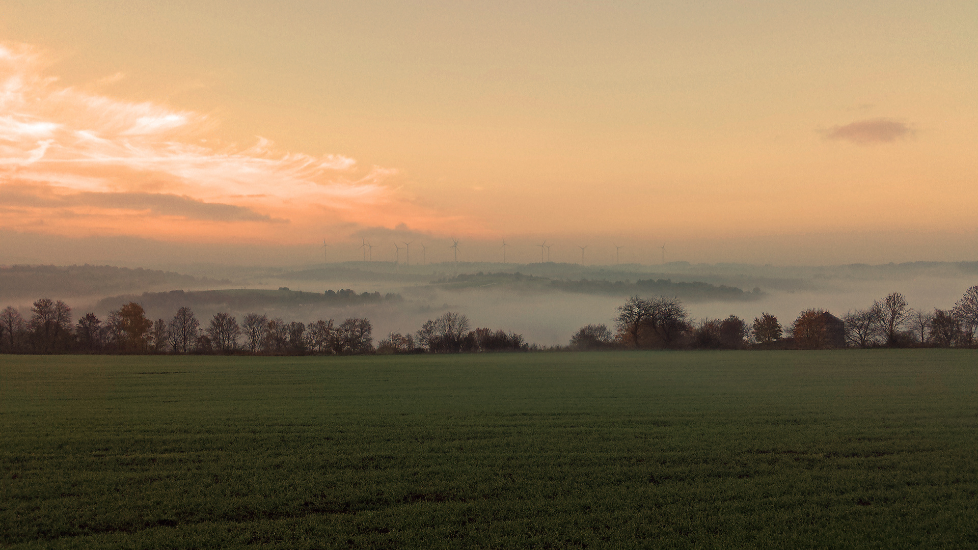 Morgennebel im Tal