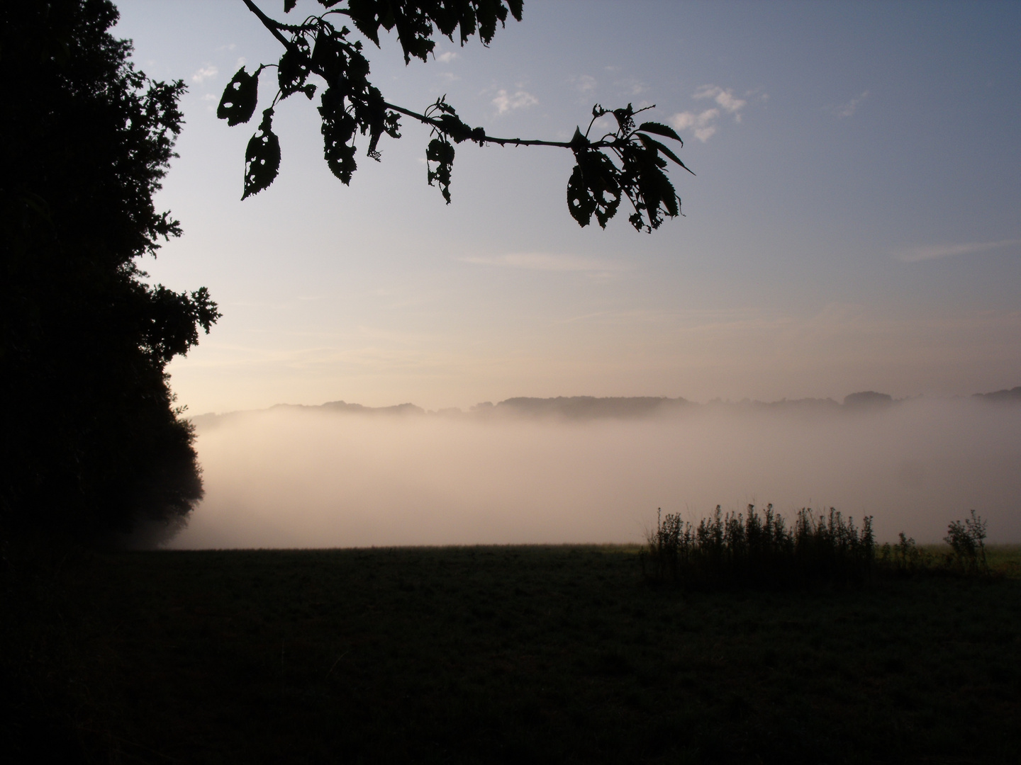 Morgennebel im Talkessel II