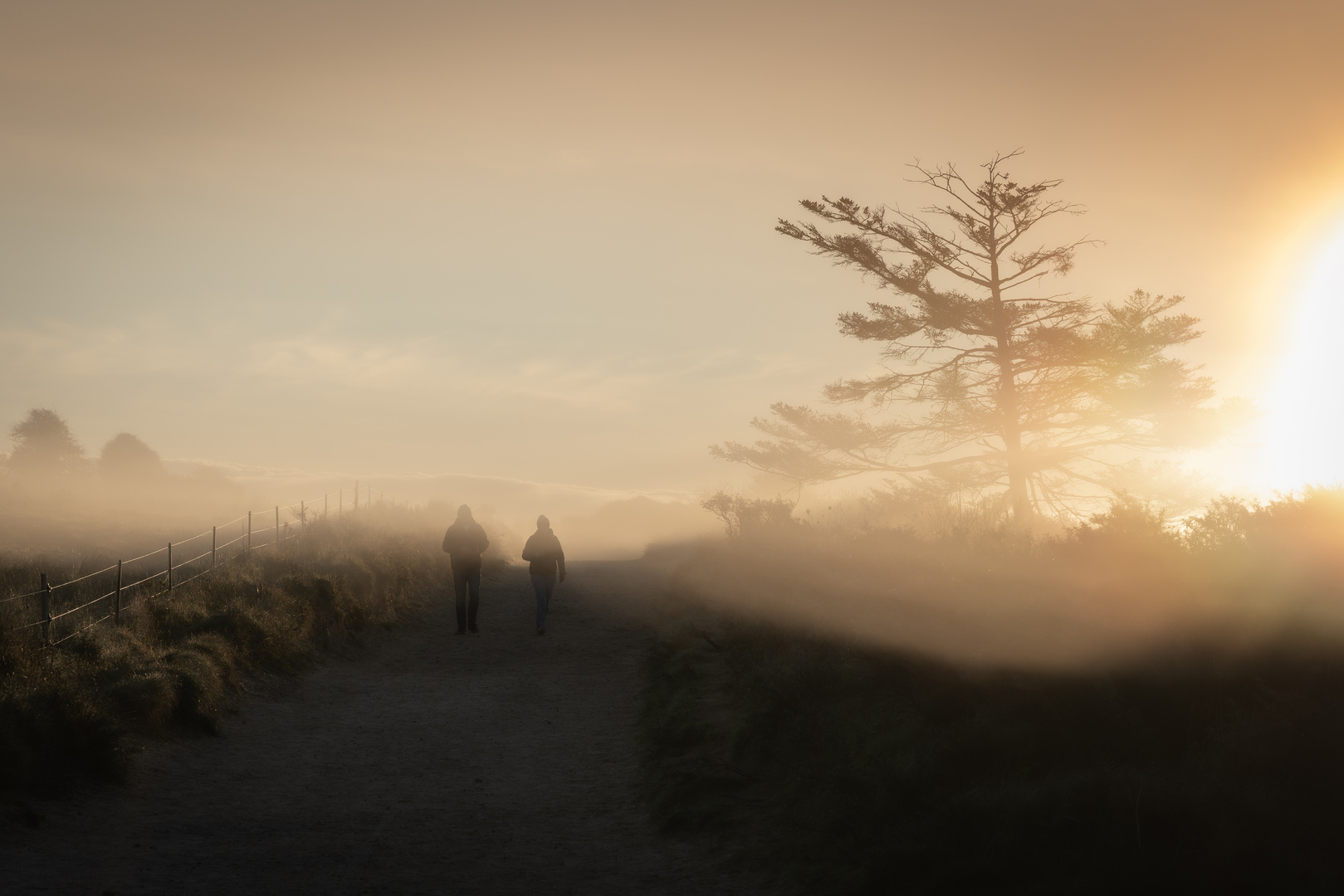 Morgennebel im Vendsyssel in Nordjylland, Dänemark