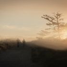 Morgennebel im Vendsyssel in Nordjylland, Dänemark