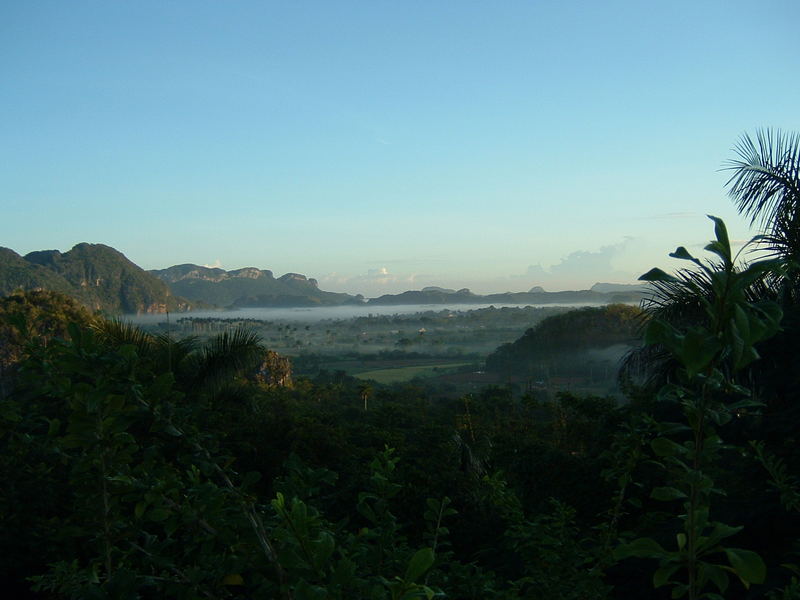 Morgennebel im Vinalestal Pinar del Rio