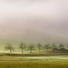 Morgennebel im Welzbachtal