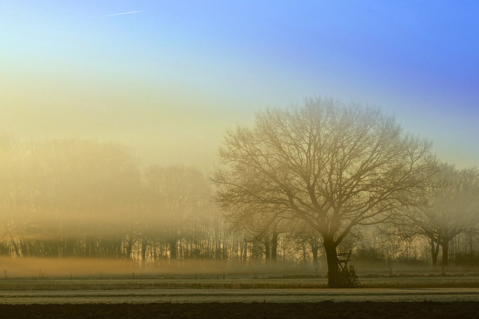 Morgennebel im Wendland