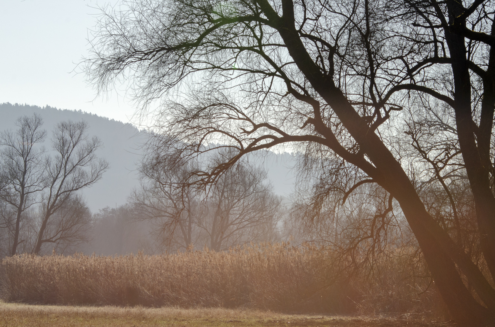 Morgennebel im Werntal