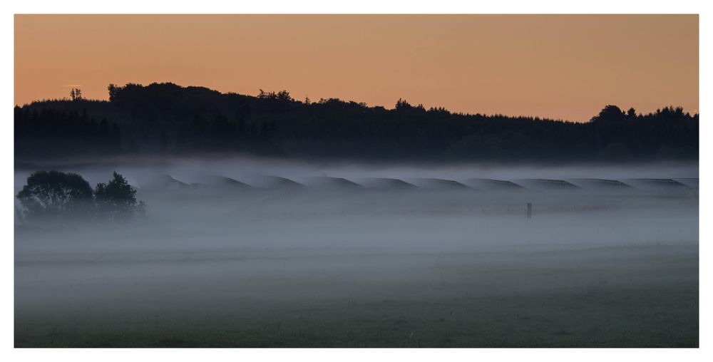 Morgennebel im Westerwald