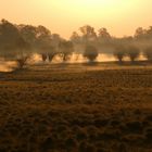 Morgennebel im Winkel