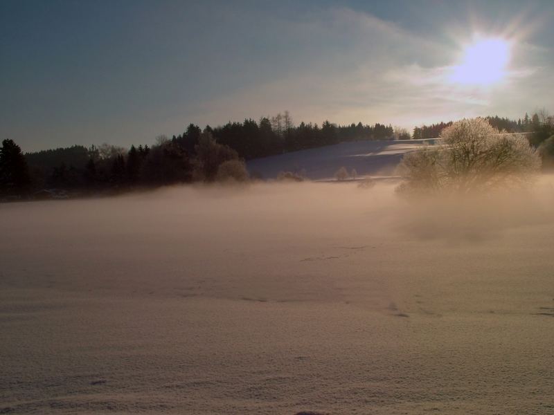 Morgennebel im Winter