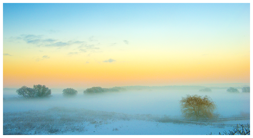 Morgennebel im Winter