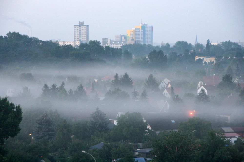 Morgennebel im Wohngebiet