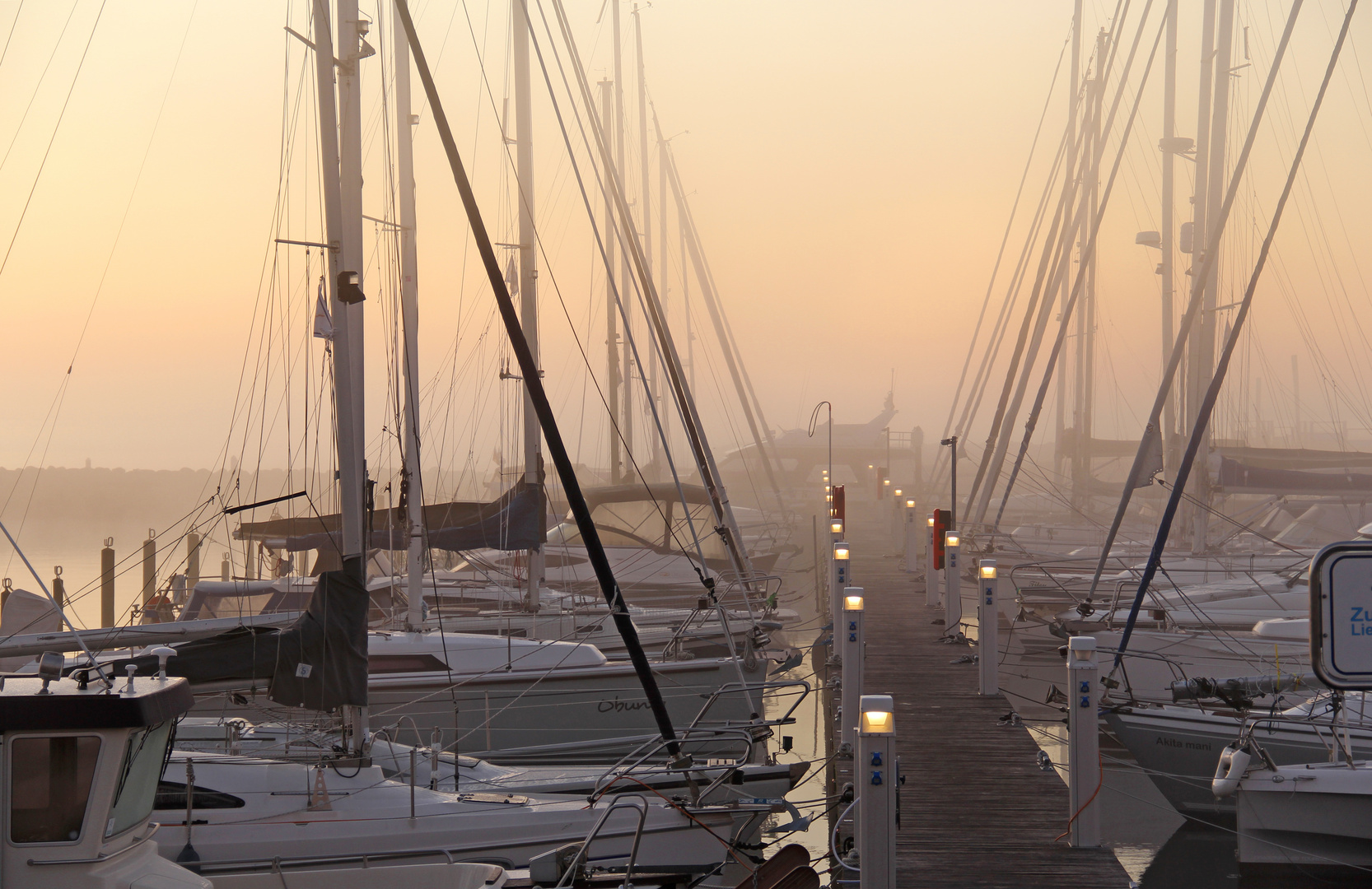 Morgennebel im Yachthafen