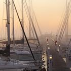 Morgennebel im Yachthafen