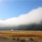 Morgennebel im Yellowstone