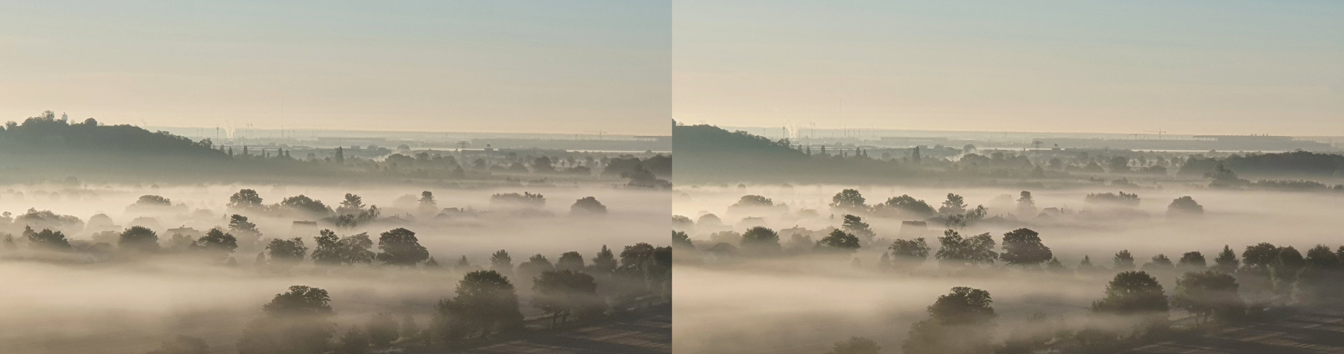 Morgennebel im Zwielicht