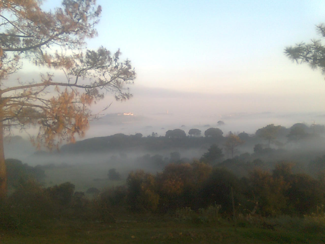 MorgenNebel in Alentejo, Portugal