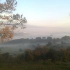 MorgenNebel in Alentejo, Portugal