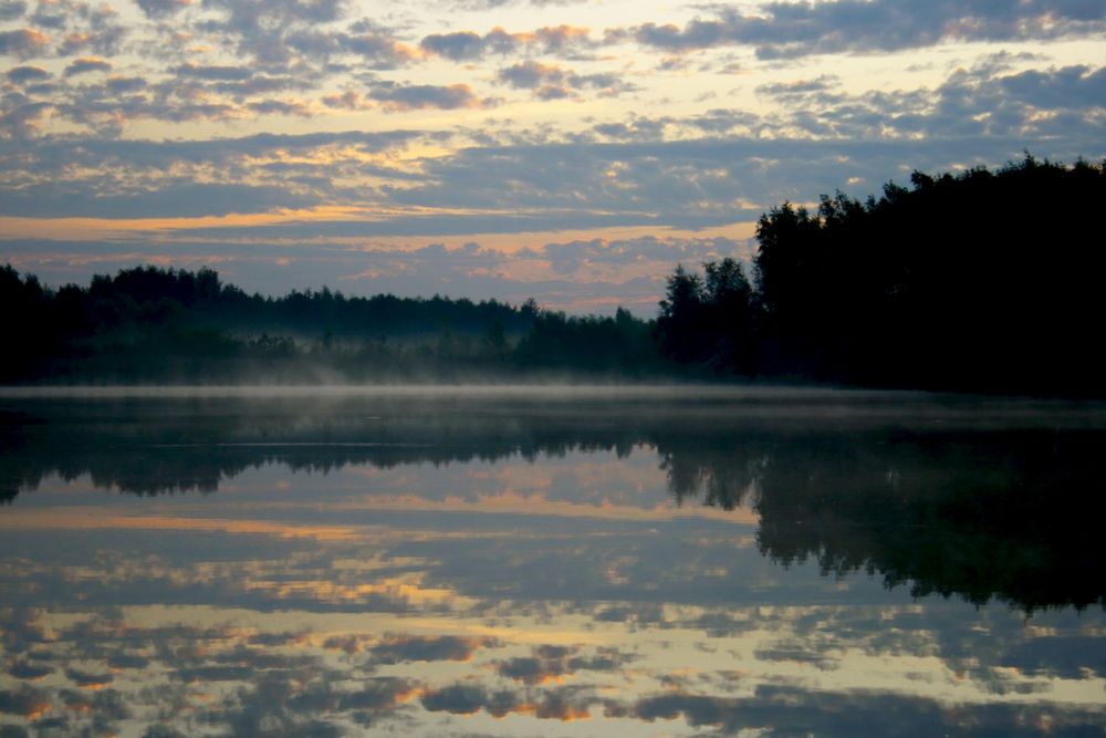 Morgennebel in Appen Etz von Y.H.Fotografie