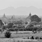 Morgennebel in Bagan