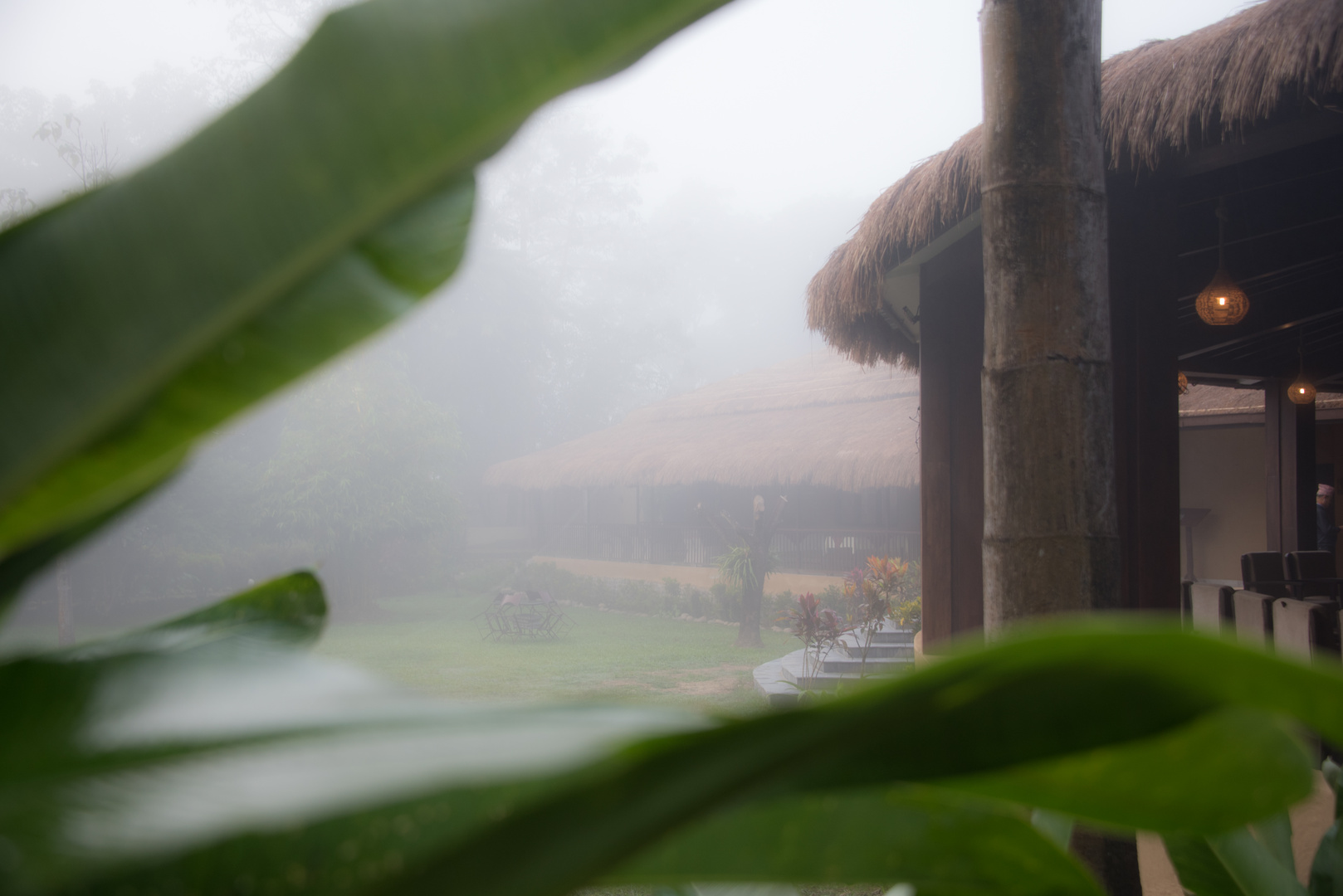 Morgennebel in Chitwan