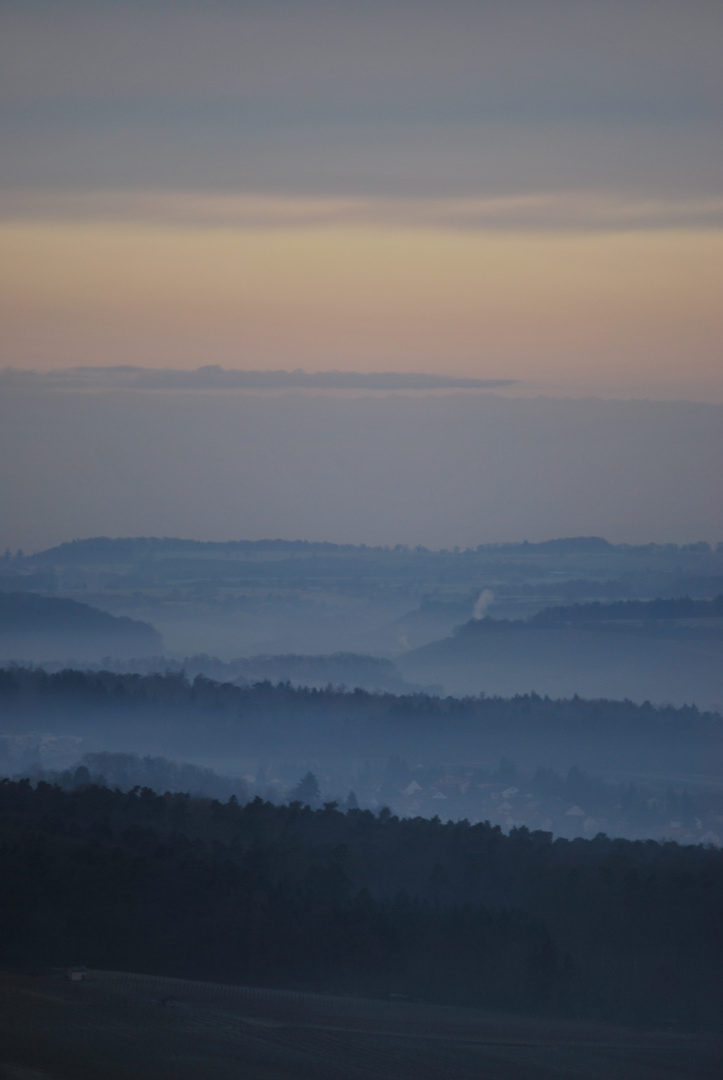 Morgennebel in Cleebronn im Februar