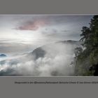 Morgennebel in den Affensteinen/Nationalpark Sächsische Schweiz