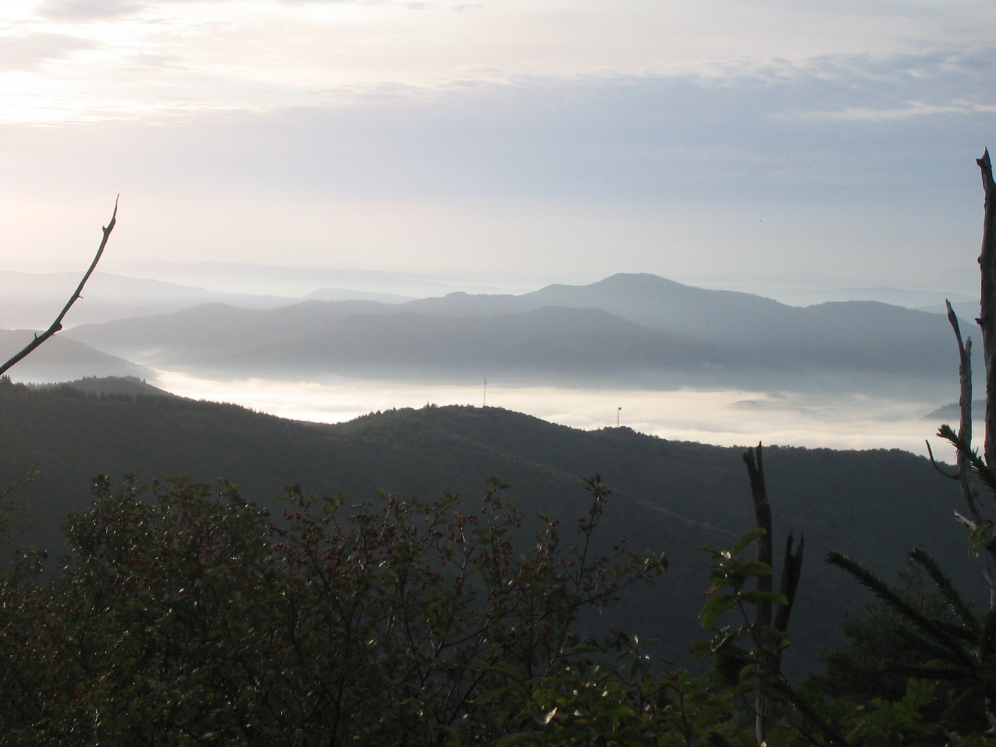 Morgennebel in den Cevennen