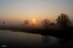 Morgennebel in den Hammewiesen_2