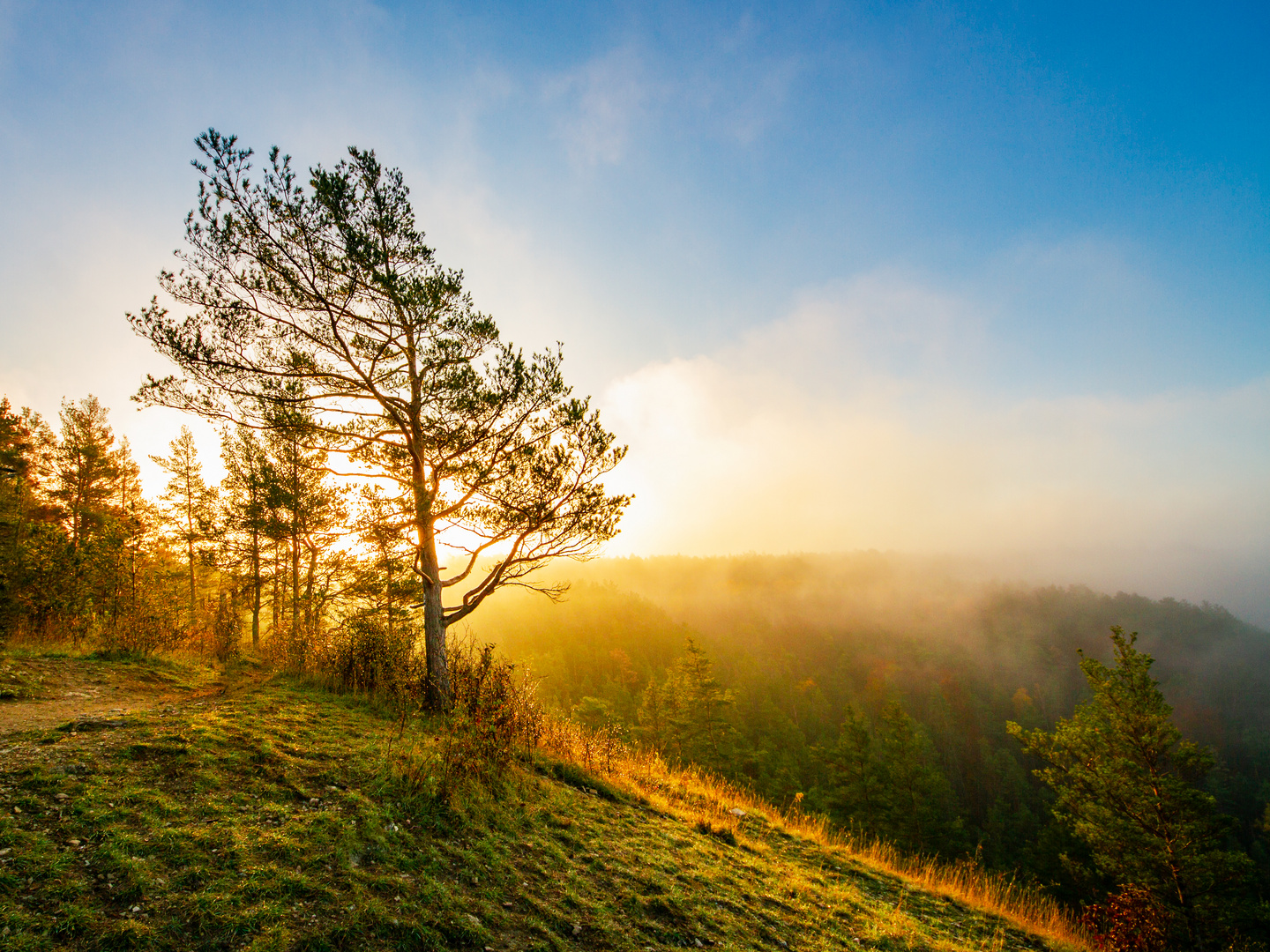 Morgennebel in den Kernbergen