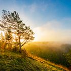 Morgennebel in den Kernbergen