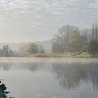 Morgennebel in den Ruhrauen