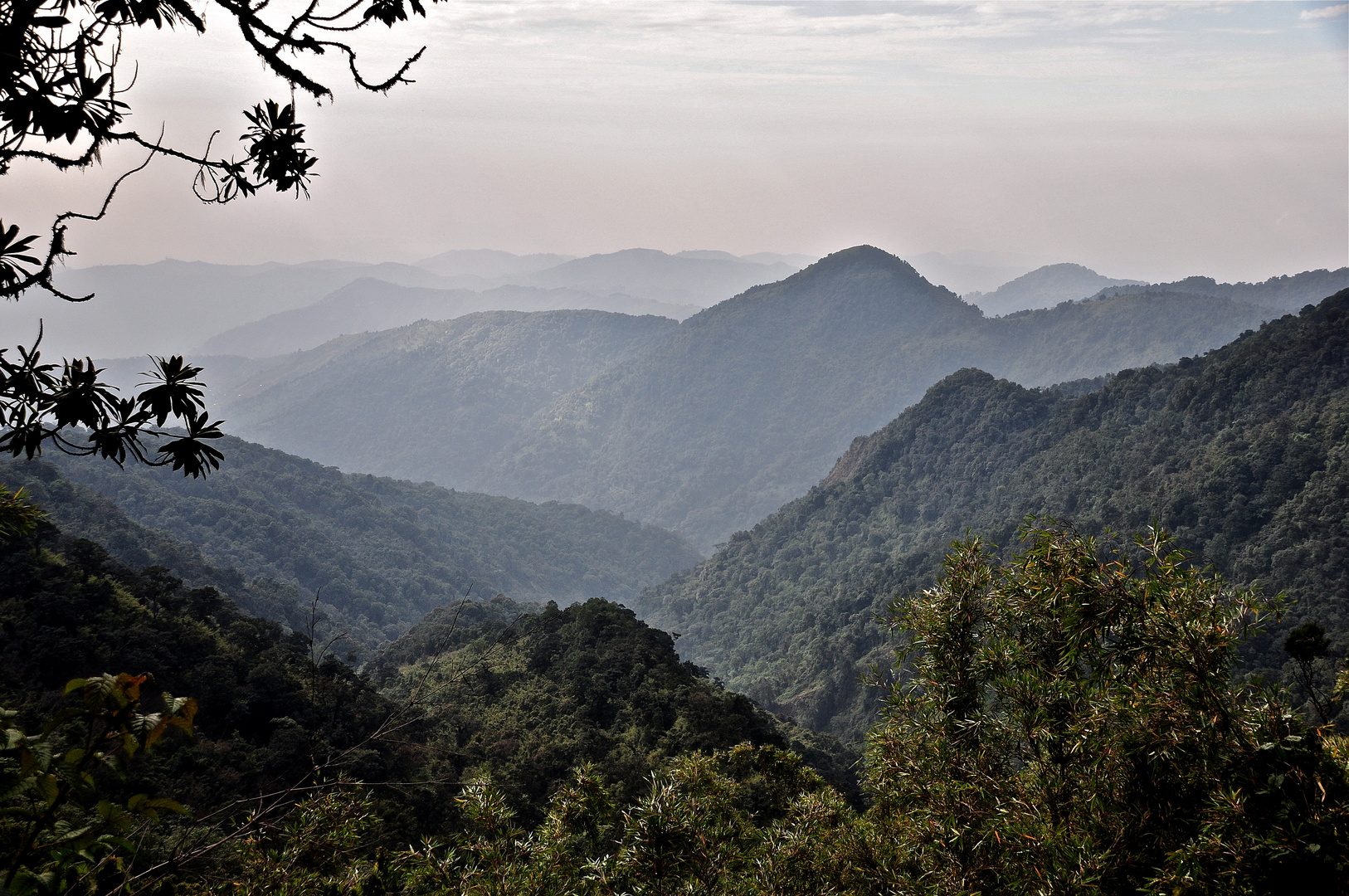 Morgennebel in den Ruwenzoris 