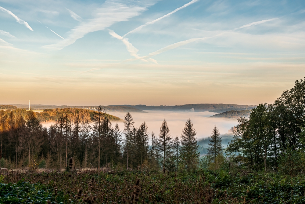 Morgennebel in den Tälern des Bergischen Landes