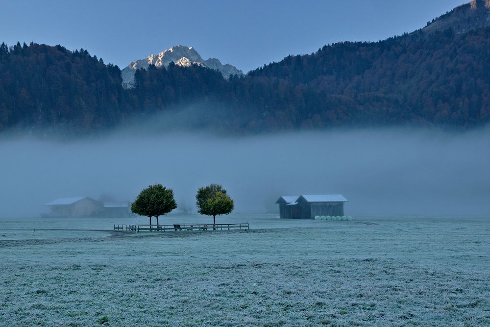 Morgennebel in den Wiesen