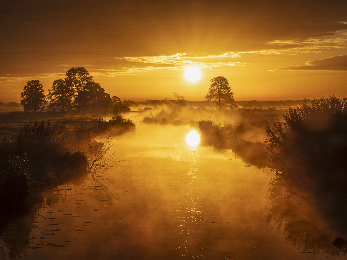 Morgennebel in den Wümmewiesen