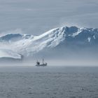 MORGENNEBEL IN DER ARKTIS