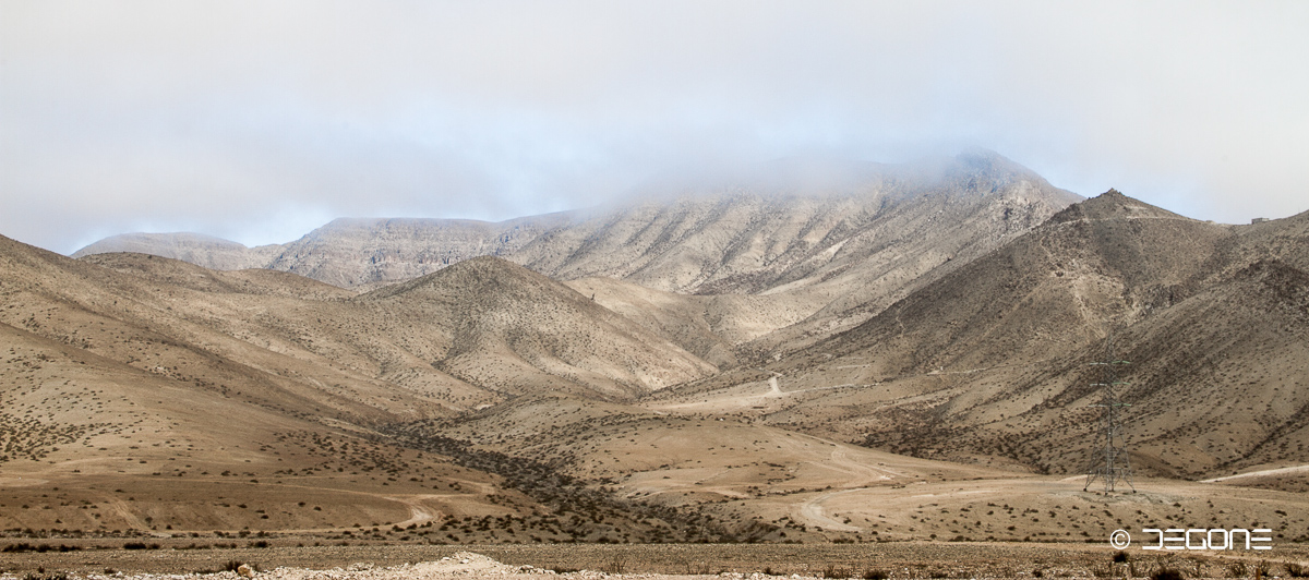 Morgennebel in der Atacama