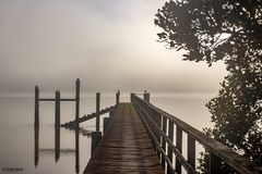 Morgennebel in der Bucht