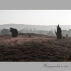 Morgennebel in der Heide