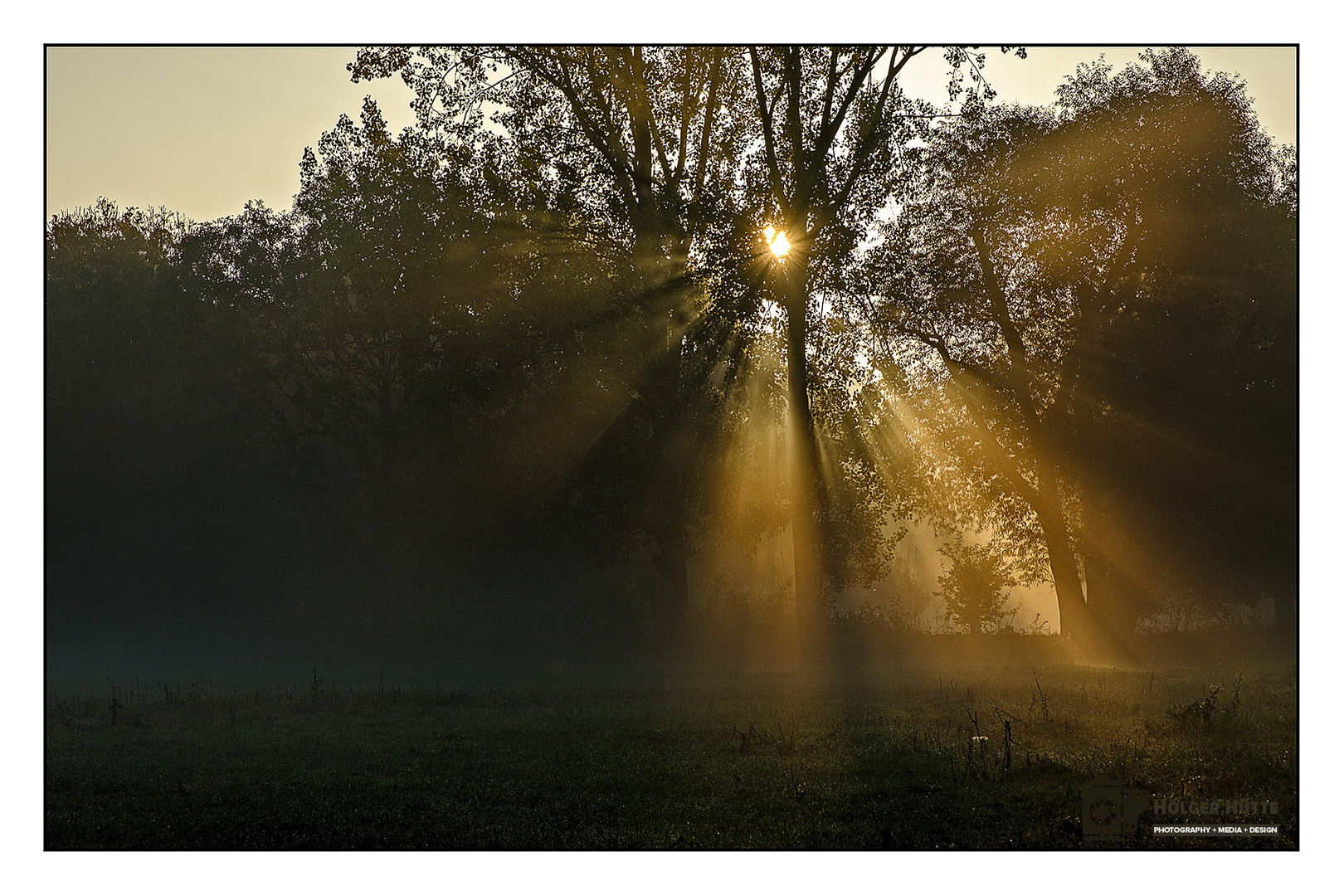 Morgennebel in der Leineaue