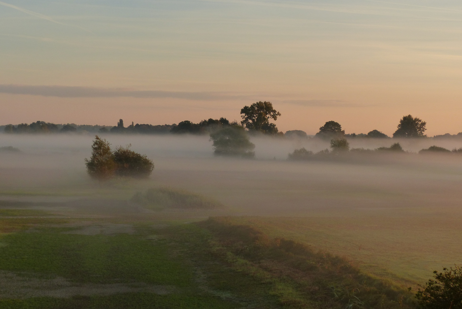 Morgennebel in der Lippeaue