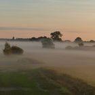 Morgennebel in der Lippeaue