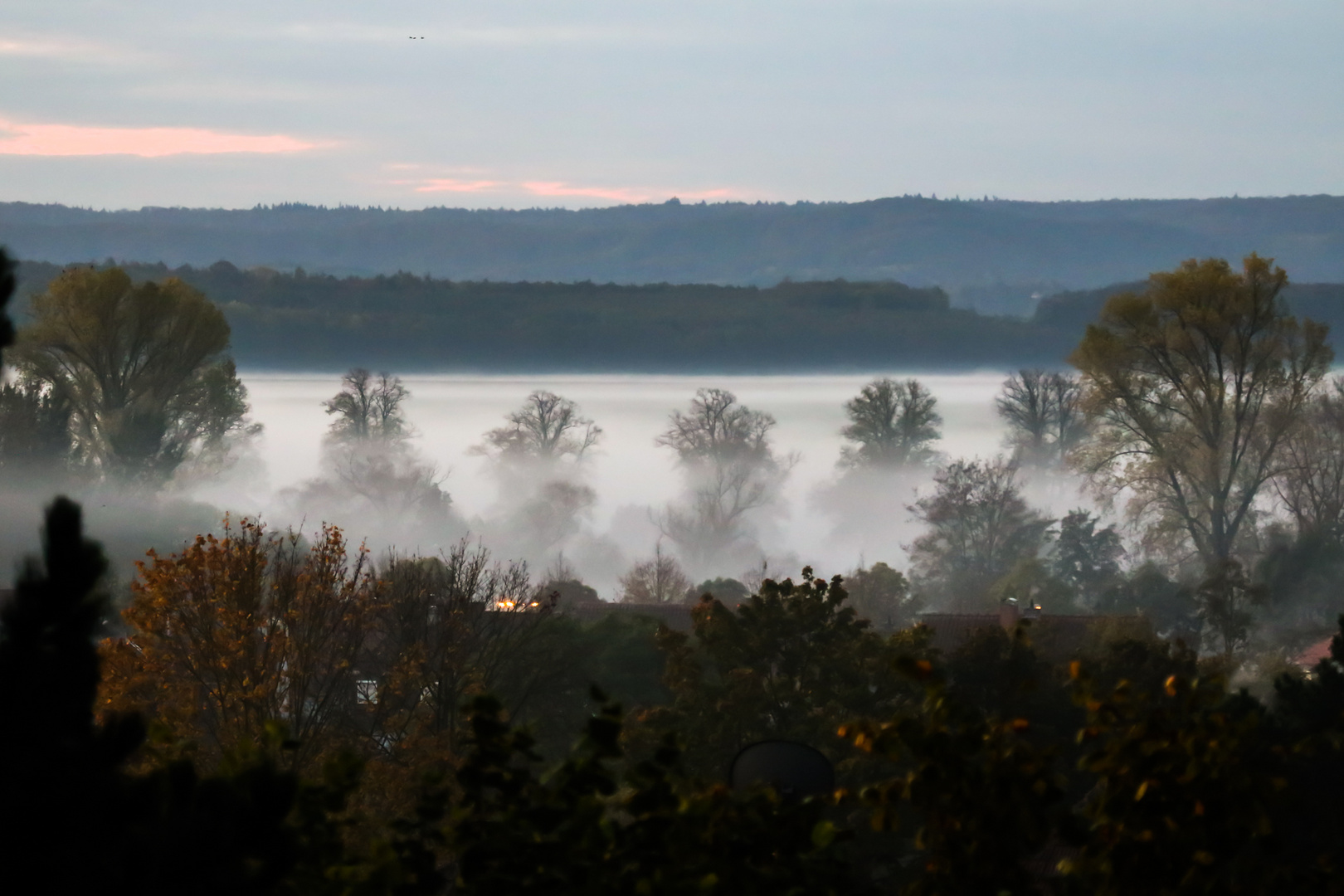 Morgennebel in der Mainaue