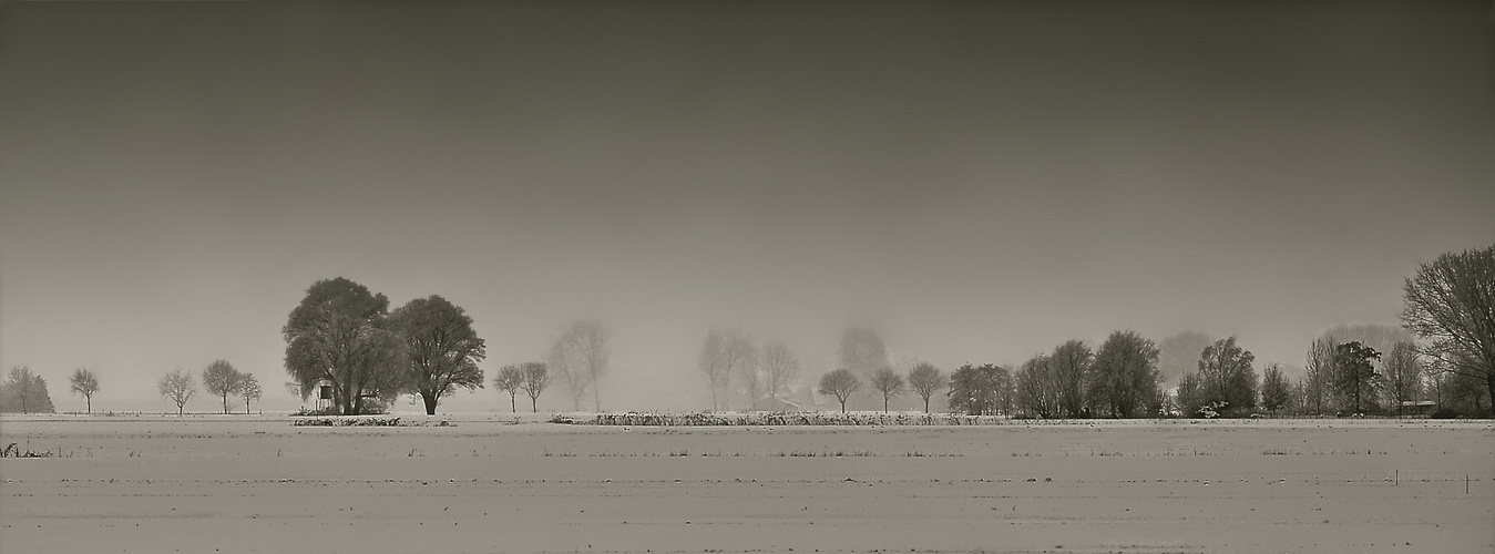 Morgennebel in der Marsch