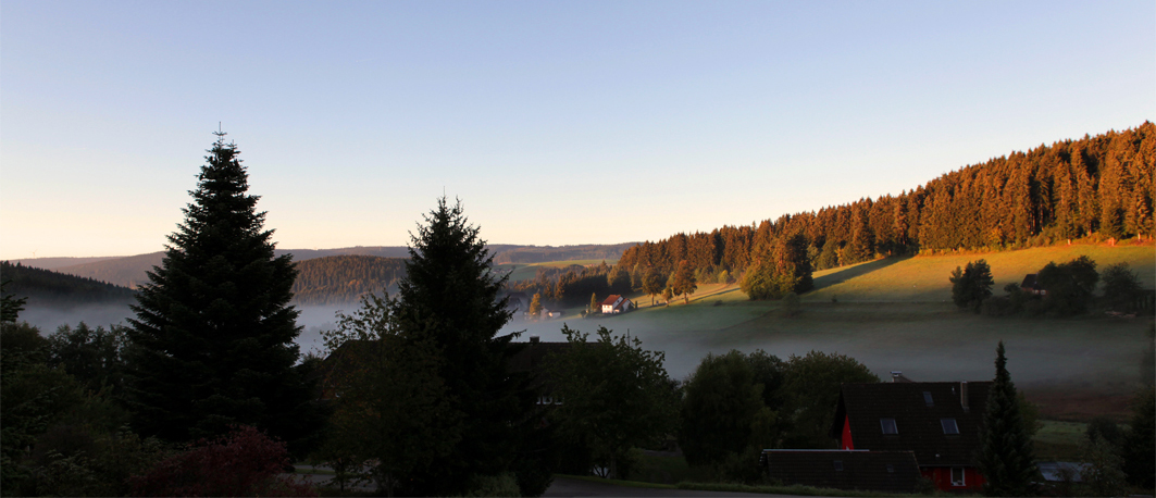 ...Morgennebel in der Morgensonne...(korrigiert)