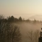 Morgennebel in der Rhön