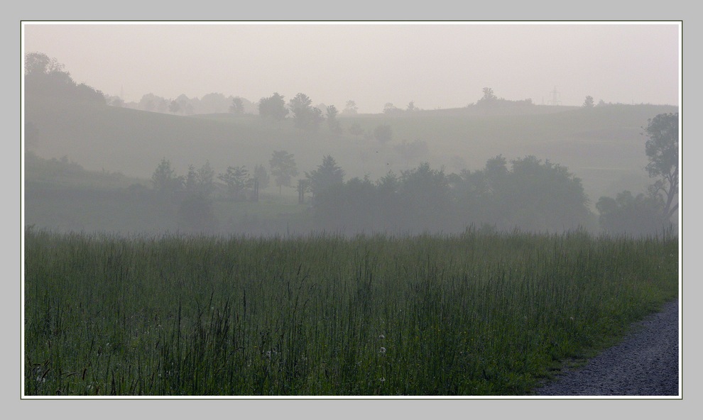 Morgennebel in der Röhn 2