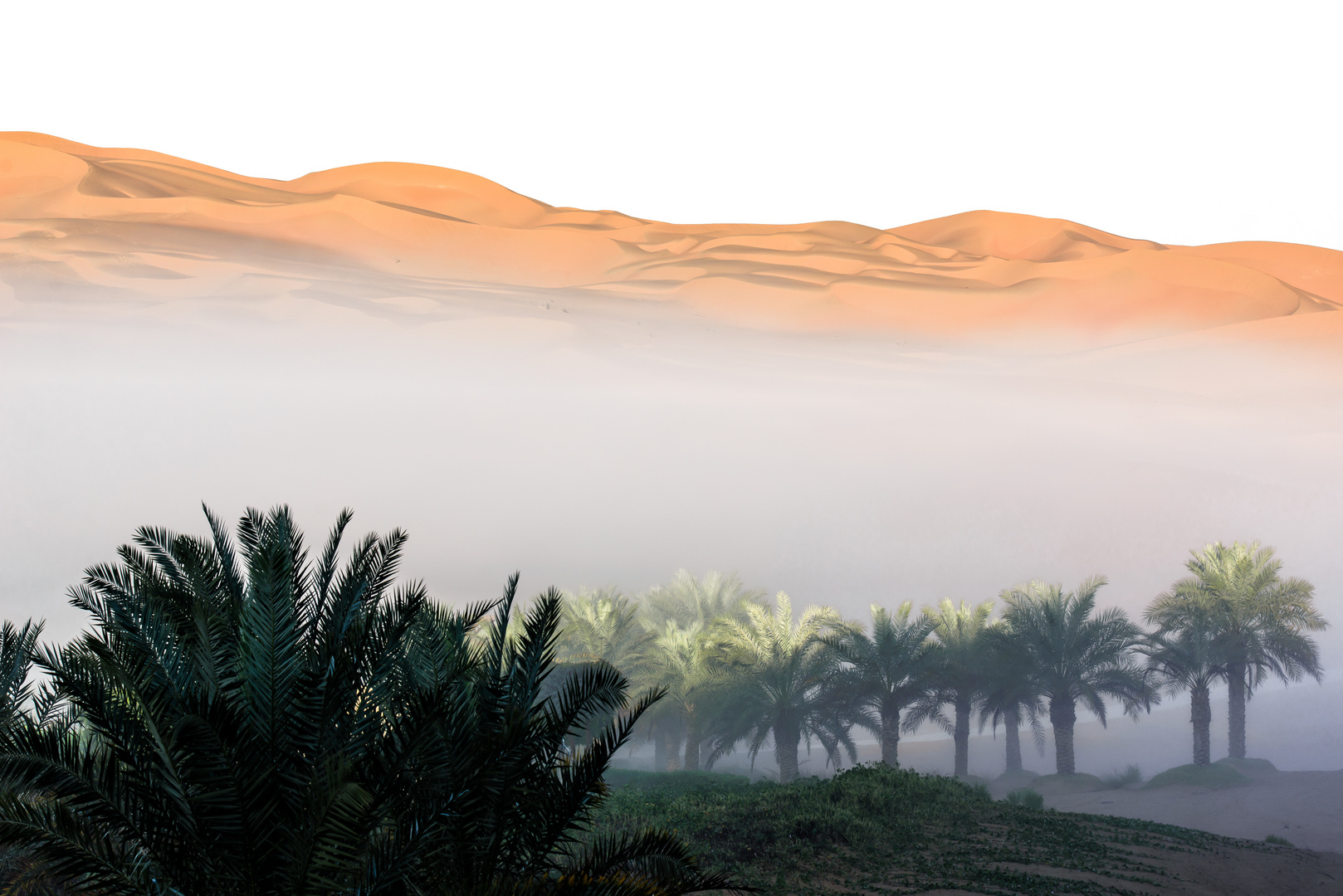 Morgennebel in der Rub al-Khali