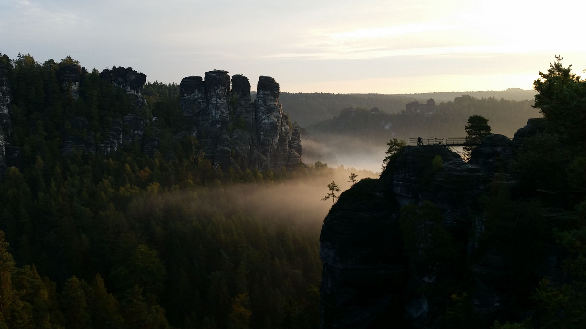 Morgennebel in der Sächsichen Schweiz