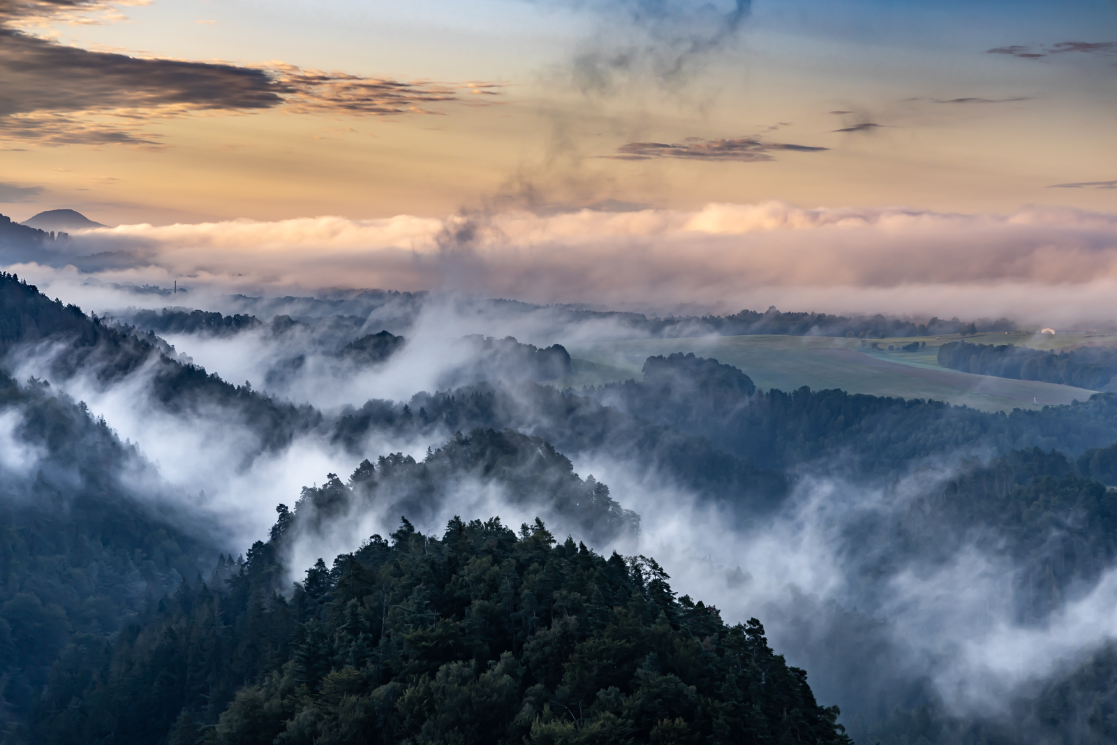 Morgennebel in der Sächsischen Schweiz