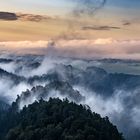 Morgennebel in der Sächsischen Schweiz